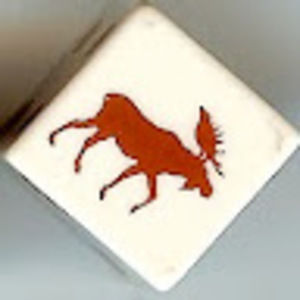 Meet your Posher, Bruce